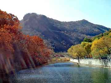 澳门天天彩期期精准平肖，玉米基地